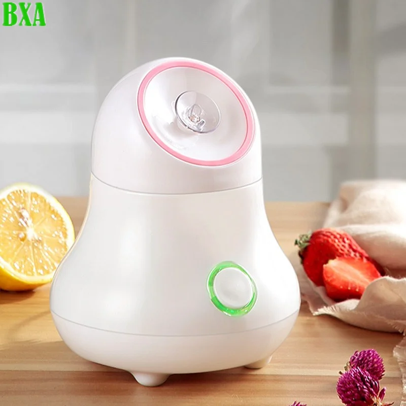 Vaporizador Facial de frutas y - Facial Steamer Nano reseña y precio